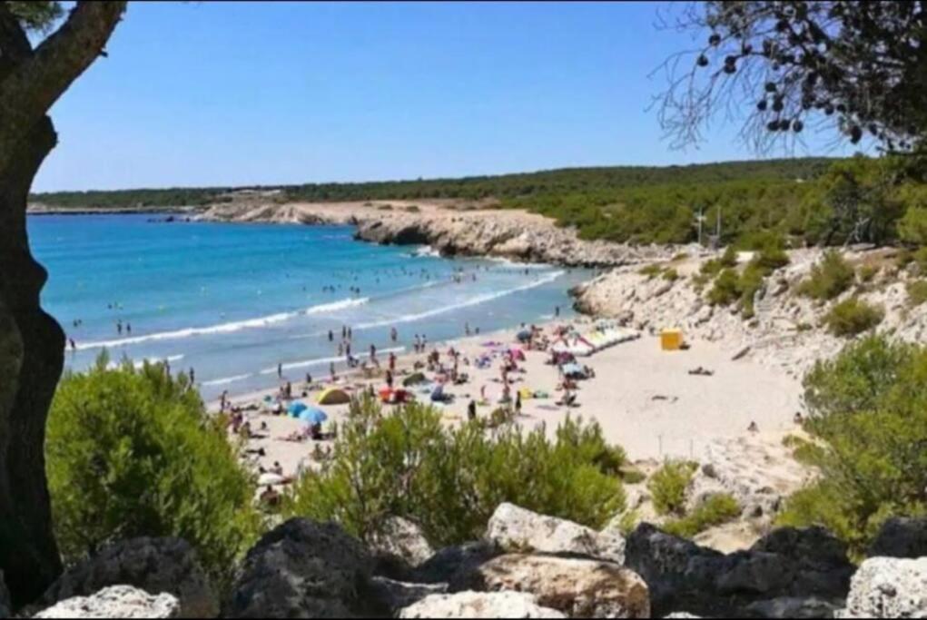 Studio Mer Et Vacances Sausset-les-Pins Zewnętrze zdjęcie